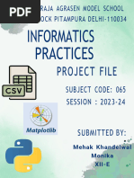 PDF Document
