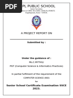 PDF Document