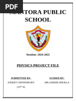 PDF Document
