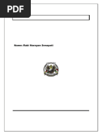 PDF Document