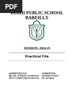 PDF Document
