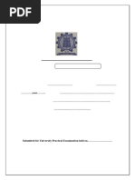 PDF Document