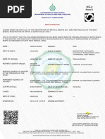 PDF Document