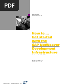 NetWeaver Development Infrastructure