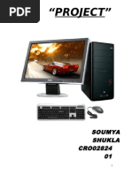 PDF Document