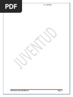 PDF Documento