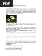PDF Documento