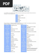 PDF Documento