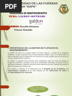 PDF Documento