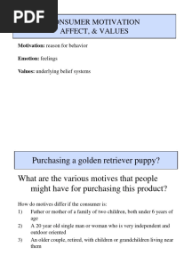Consumer Motivation Affect, & Values: Motivation: Reason For Behavior Emotion: Feelings Values: Underlying Belief Systems