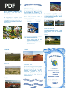 Triptico Del Ecosistema