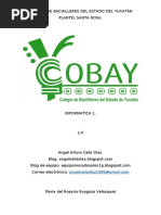 PDF Documento