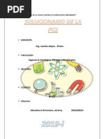 PDF Documento