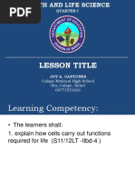 PDF Document