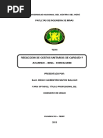 PDF Documento