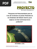 PDF Documento