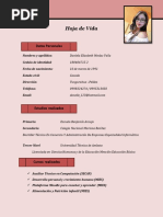 PDF Documento