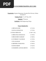 PDF Document