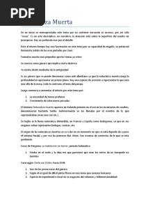 Naturaleza Muerta