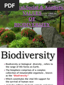 Values of Biodiversity