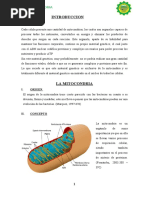 PDF Documento