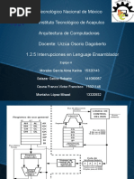 PDF Documento
