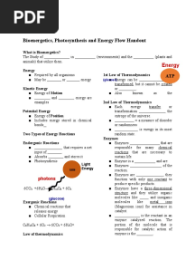 Bioenergetics, Photosynthesis and Energy Flow Handout
