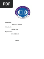 PDF Document