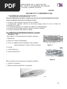 DEVOIR 1ere S2