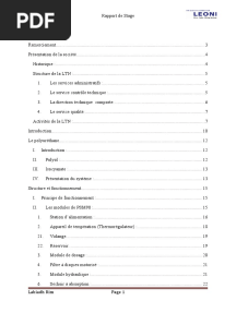 Rapport Leoni