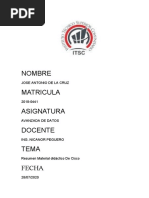 PDF Documento