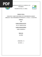 PDF Document