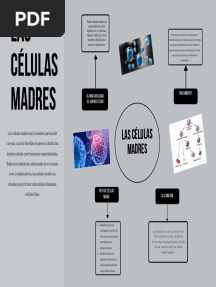 Mapa Mental Célula Madre