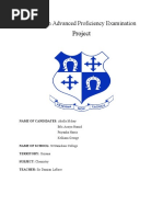 PDF Document