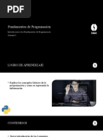 PDF Documento