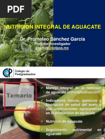 Presentación Nutrición Integral de Aguacate