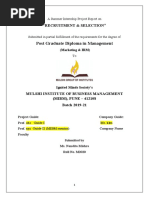 PDF Document