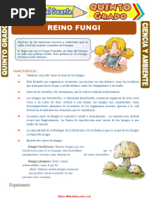 Reino Fungi para Quinto Grado de Primaria