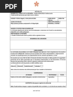 PDF Documento