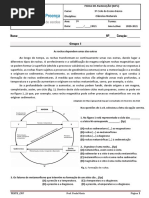 PDF Documento