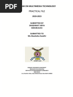 PDF Document