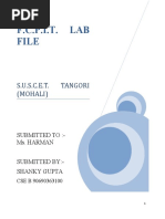 PDF Document