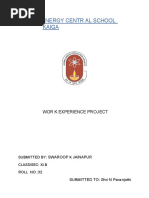 PDF Document