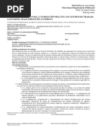 PDF Documento