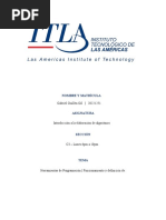 PDF Documento