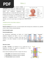 tema 2