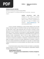 PDF Documento