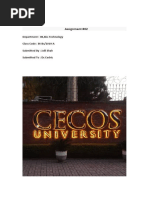 PDF Document