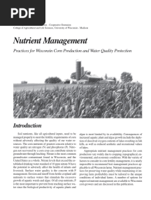 Nutrient Management For Corn