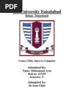 PDF Document